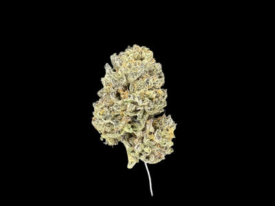 S'more Cookies Hemp Flower bud on a dark background. 