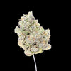 Sherb Crasher Hemp
