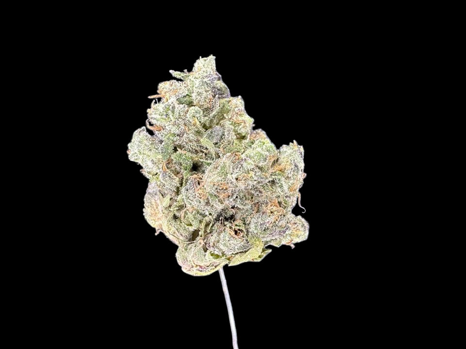 Sherb Crasher Hemp