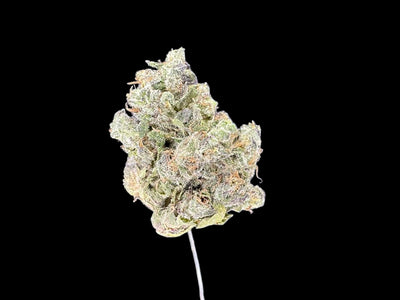 Sherb Crasher Hemp