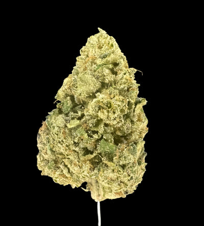 Sherbert Hemp - 22-301
