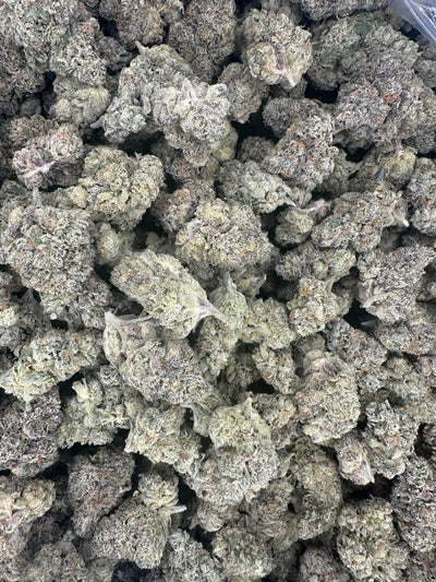 Sherbert Hemp - 22-301