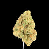 Close up of Starbud flower on a dark background