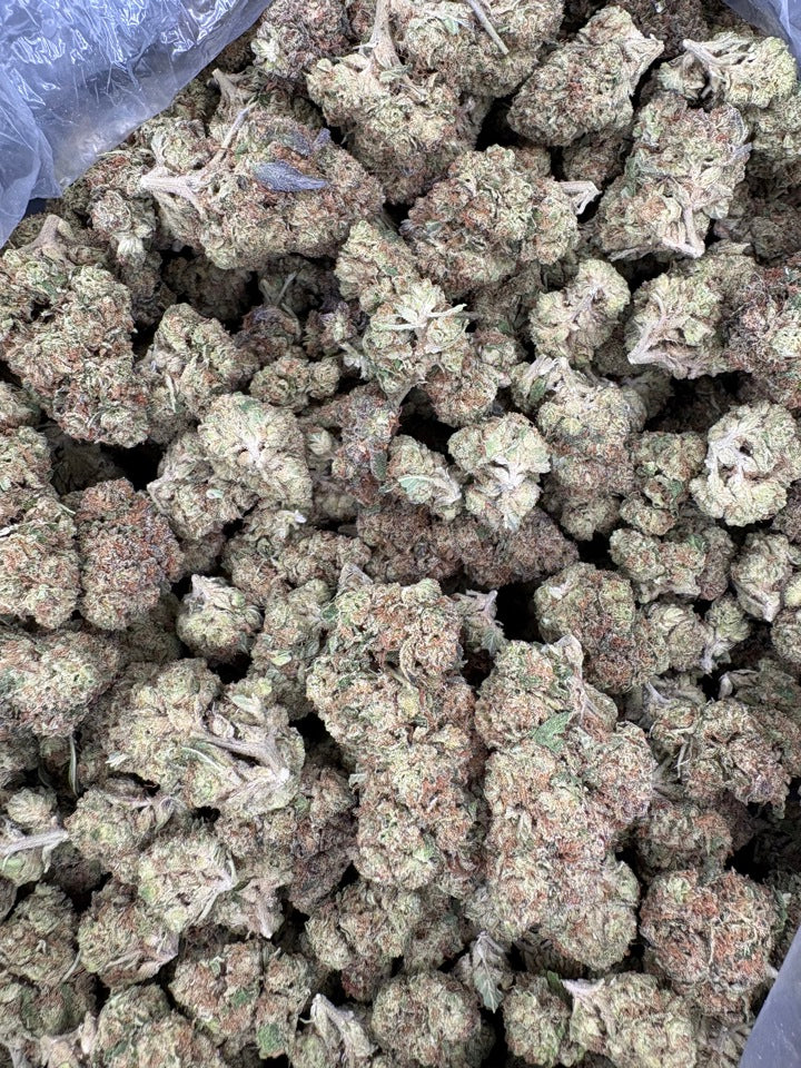 Close up of processed buds 