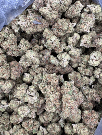 Close up of processed buds 