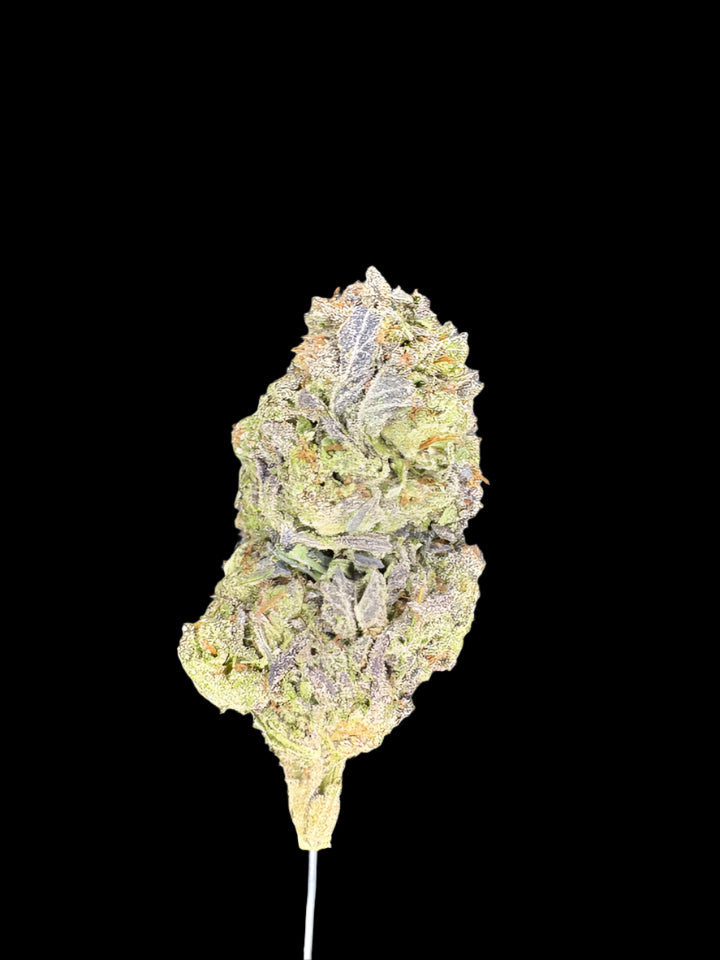 Sour OG Hemp bud on a dark background. 