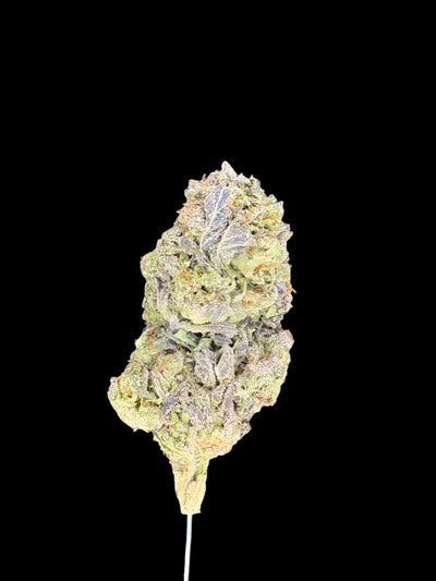 Sour OG Hemp bud on a dark background. 