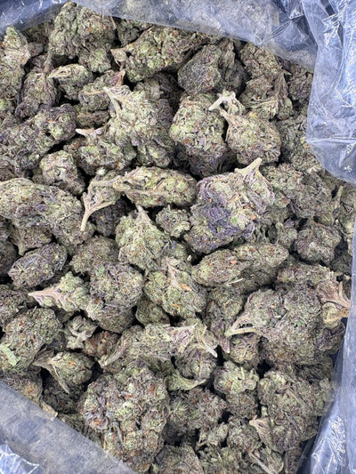 Sour OG Hemp buds in a bag. 
