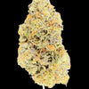 Close-up of a cannabis bud on a dark background