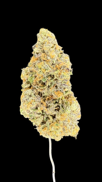 Close-up of a cannabis bud on a dark background