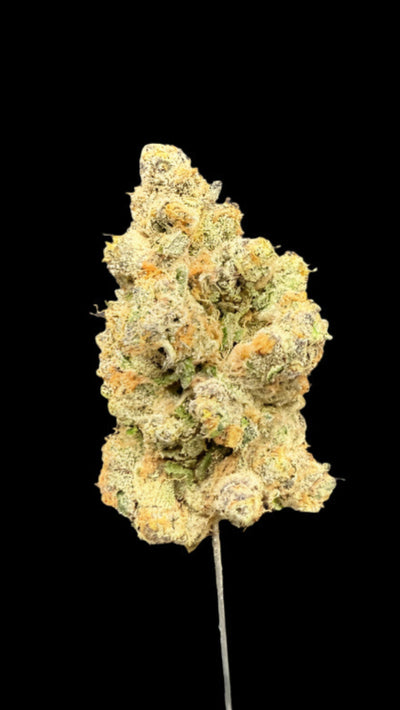 Super Boof Hemp Flower bud on a dark background. 