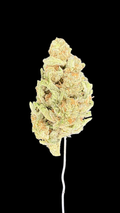 Close-up of a cannabis bud on a dark background