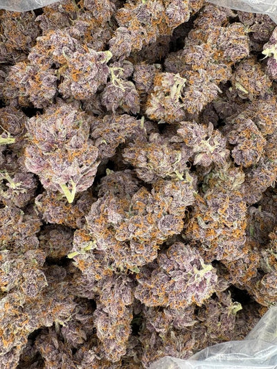 Trop Cherry Hemp - CF008-295