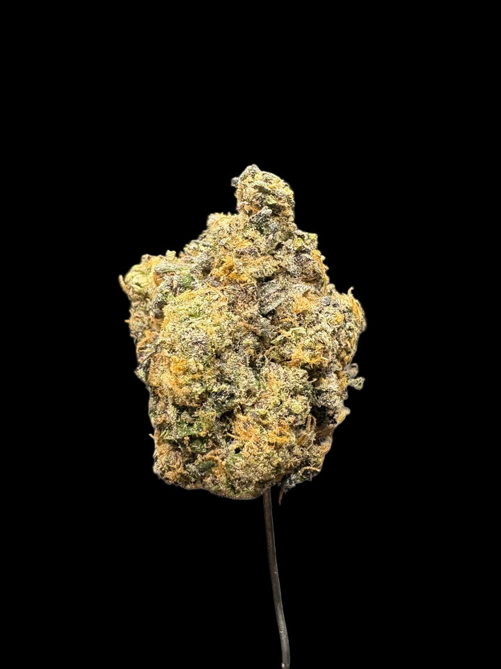 Close-up of a cannabis bud on a dark background