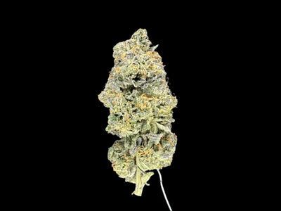 White Runtz Hemp Flower bud on a dark background. 