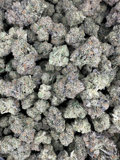 White Runtz Hemp Flower buds in a bag. 