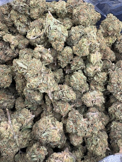 Yahemi Hemp - 7-335