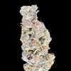 Zimi Hemp