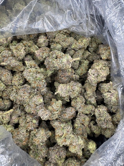 Zimi Hemp