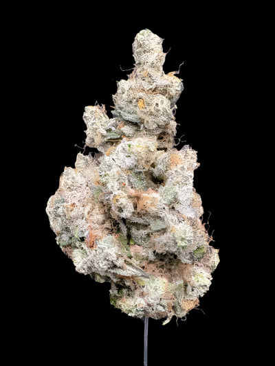 Biscotti Cream Hemp - 07-279