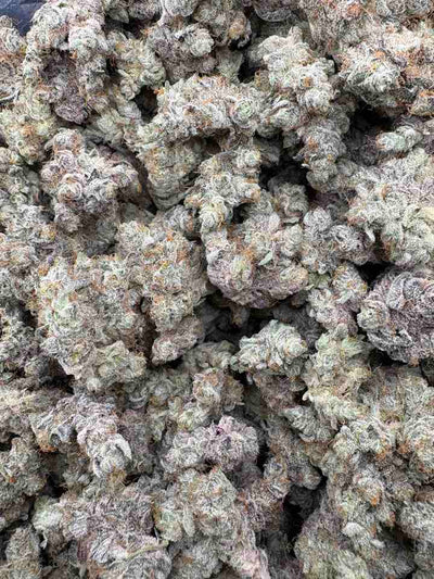 Biscotti Cream Hemp - 07-279