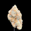 College Park Hemp