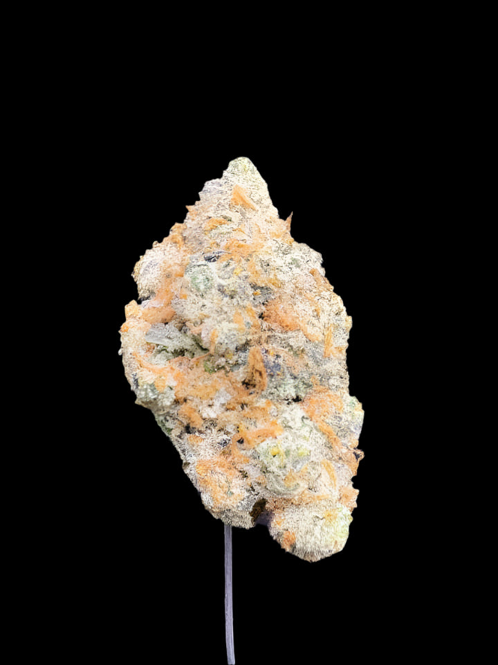 College Park Hemp