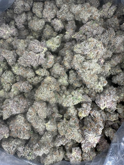 Daiquiri Hemp