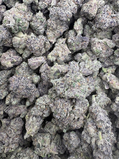 Gary Payton Hemp - 30.242% - HF001
