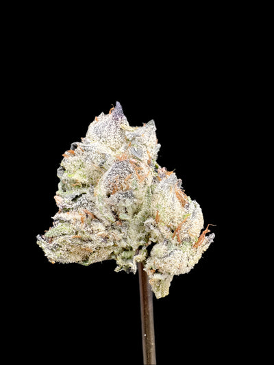 LCG Hemp - HF007