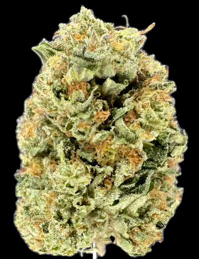 Oreo Hemp - 30-302